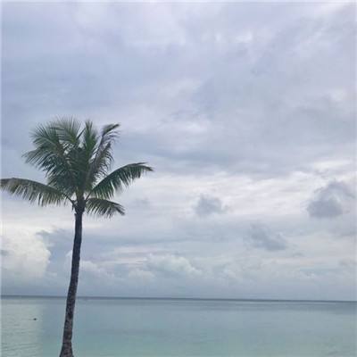 战塔英雄腾讯版下载