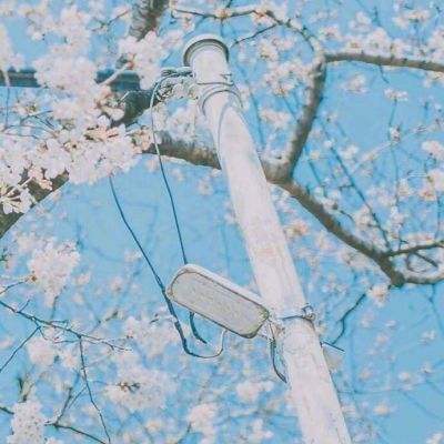 逆袭的仙王手游官方版下载