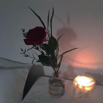 修女和光无法触及的森林手游下载